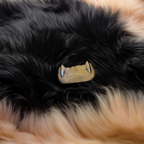Grillz Image